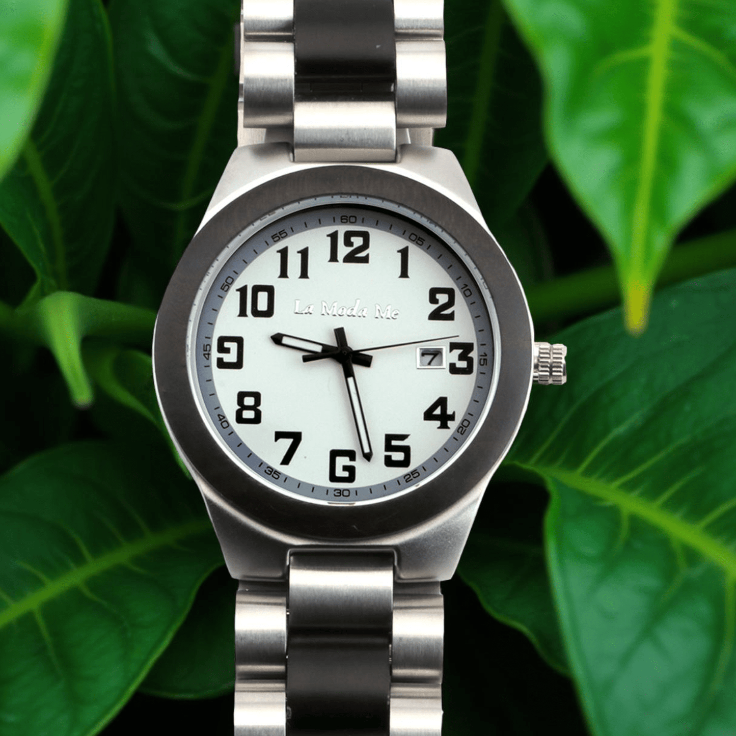 Watch Frost - Eco-Friendly Wooden Timepiece